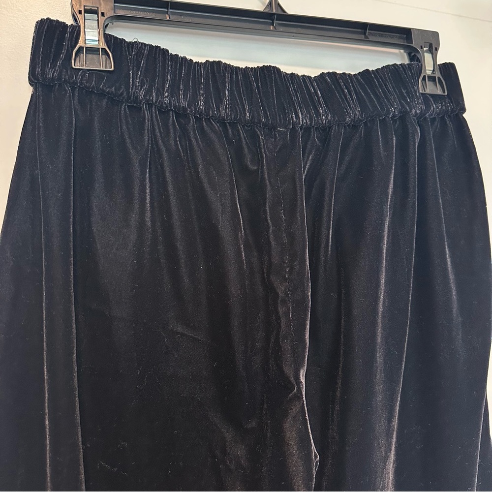 Jcrew Pants - image 3